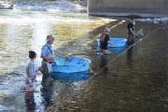 69753100_1146365772231186_1228986848592789504_o