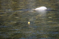 70124382_1146367955564301_3778760618417324032_o