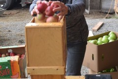 74878550_1183576838510079_5513240292838342656_n